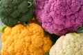 Colorful cauliflower. Various sort of cauliflower in metal container that holds male hands on stone tiles gray concrete background Royalty Free Stock Photo