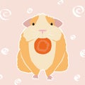 Colorful cavy on pink background. Illustration of cavy with carrot.