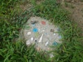 Colorful cement stepping stone with shells and dead cicada