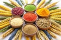 Colorful Cereal Seeds and Wheat Ears Royalty Free Stock Photo