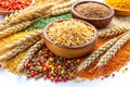 Colorful Cereal Seeds and Wheat Ears Royalty Free Stock Photo