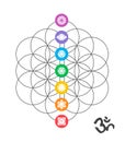 Colorful chakra icons on Sacred geometry design Royalty Free Stock Photo