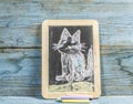 Colorful hand drawing with chalk on blackboard : funny cat