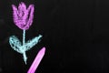 Chalk drawing on a chalkboard: beautiful tulip flower,
