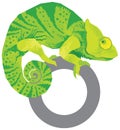 Colorful chameleon vector