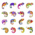 Colorful chameleons. Exotic wild animals recent vector stylized pictures of lizards