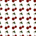 Colorful cherries fruit pattern. Idea for damask, paper, covers, summer spring holidays, natural fruit themes. Isolated vector