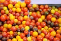 Colorful Cherry tomatoes on farmer agricultural market Royalty Free Stock Photo