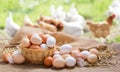Colorful chicken eggs on a wooden table in the chicken farm Royalty Free Stock Photo