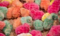 safety net on Colorful chicks