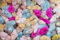 colorful chicks for sale Royalty Free Stock Photo