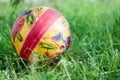 Colorful child ball on green grass