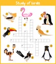 A colorful children's cartoon crossword, education game for children on the theme of exploring different species of birds from aro