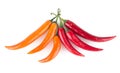 Colorful chili peppers Royalty Free Stock Photo