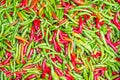 Colorful chillies for sale at market Royalty Free Stock Photo