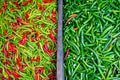 Colorful chillies for sale at market Royalty Free Stock Photo