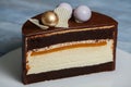 Colorful chocolate - vanilla layer cake