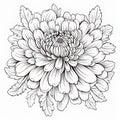 Classic Chrysanthemum Coloring Page: Detailed Chen Zhen Style Flower For Kids