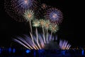 Colorful Chrysanthemums, Palms and Comets over Krylatskoye - Cir