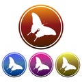 Colorful, circular, gradient white butterfly silhouette icon. Monochrome icon design. Four variations