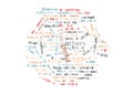 Colorful circular word cloud featuring positive personality traits and values centered around thoughtfulness and