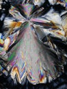 Colorful Citric Acid crystals