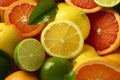 Colorful citrus delight, a lively collection of citrus fruits