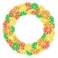 Colorful citrus frame for your text, vector