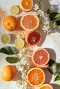 Colorful Citrus Fruit Assortment on a Light Background