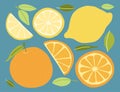 Colorful citrus fruit and leaf illustrations on blue, featuring whole and sliced oranges and lemons in a clean, flat design
