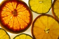 Colorful Citrus Fruit Slices with Backlighting