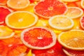 Colorful citrus fruit slices