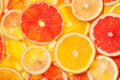 Colorful citrus fruit slices