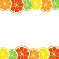 Colorful citrus fruits background. Lemon, lime, orange, grapefruit. Vector