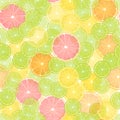 Colorful citrus Lemon seamless pattern.