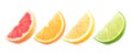 Colorful citrus slices Royalty Free Stock Photo