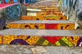 Colorful city Valparaiso stairs