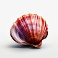 Colorful Clam Shell 3d Rendering