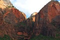 Colorful Cliffs at Zion National Park