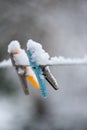 Colorful clips for washing laundry covered with snow on strip rope outdoor.