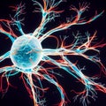 Colorful close-up image of a neuron