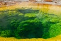 Colorful Close Up of the Morning Glory Pool Royalty Free Stock Photo