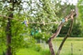 colorful clothespins hanging on a rope outdoors