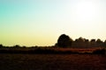 Colorful cloud sky and field Meadow - vintage style Royalty Free Stock Photo