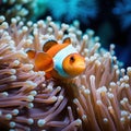 Colorful Clownfish in a Bleached Anemone AI Generated