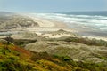 The colorful coast and dunes near Florence, Oregon, USA Royalty Free Stock Photo