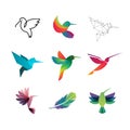 Colorful Colibri. Hummingbirds for Logo Concepts .EPS10 Royalty Free Stock Photo