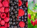 Colorful collage of different fruits and berries Royalty Free Stock Photo