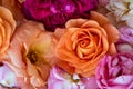 Collage of rose blossoms top view macro