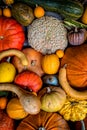 Assorted pumpkins, squashes and gourds